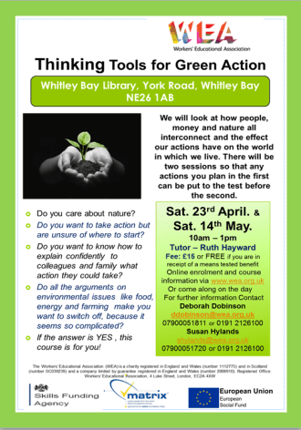 green thinking tools whitley bay
