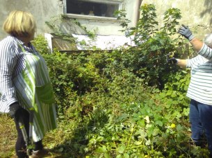 img-20180801-123927_orig